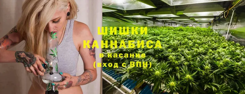 Конопля LSD WEED  где купить наркоту  Курчалой 